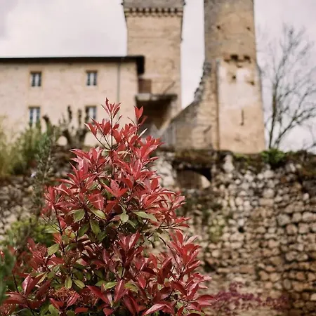 Gasthof Chateau Des Anges 3*