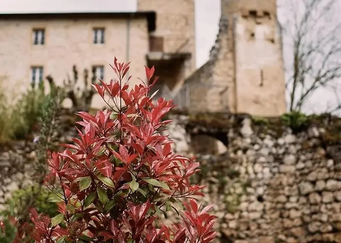 Vendégház Chateau Des Anges 3*